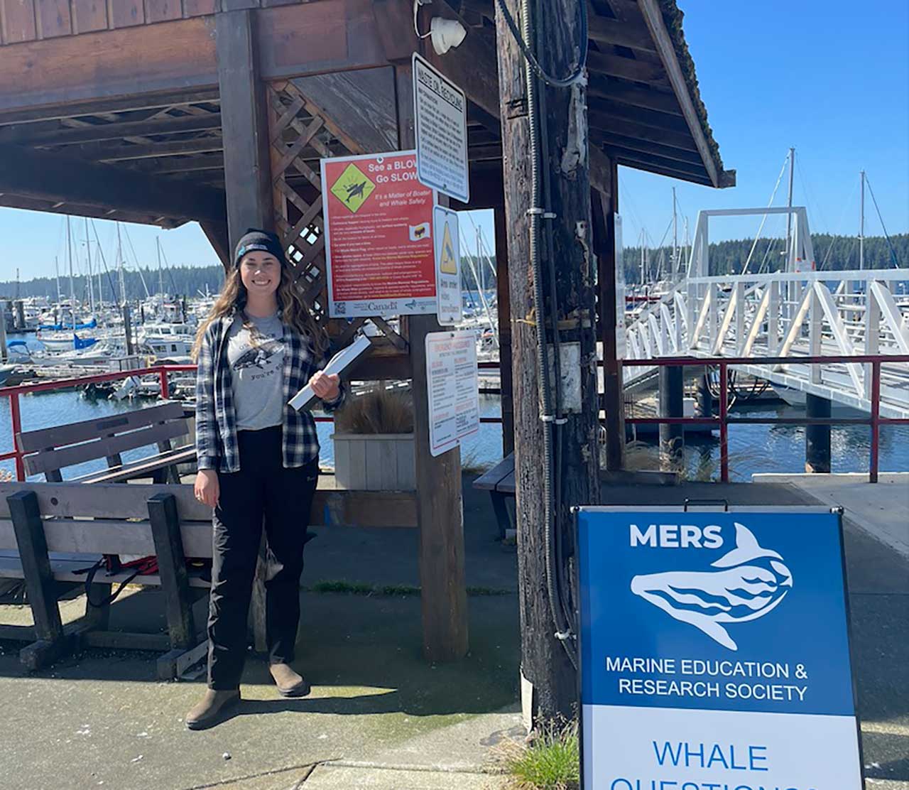 mers marine education research society marina dock walks