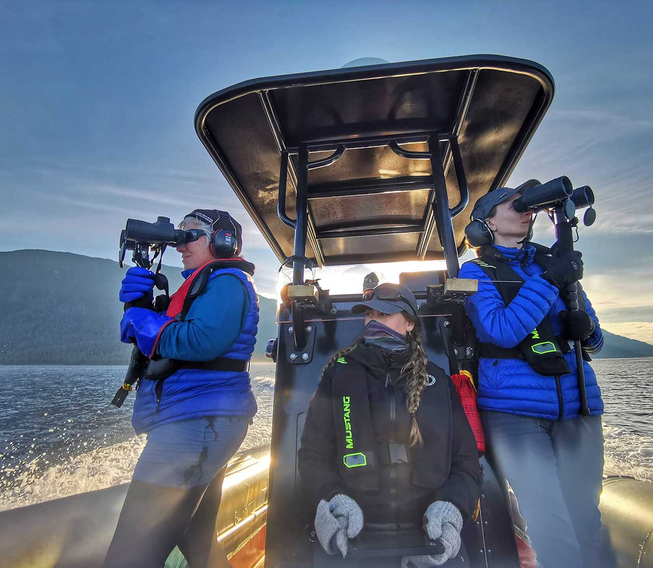 mers marine education research society mers team whale watching